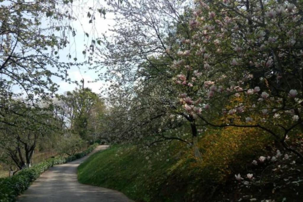 Cozzy Apartment In Nature ซาเกร็บ ภายนอก รูปภาพ